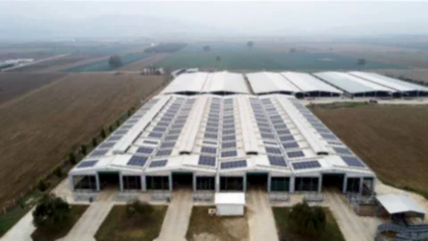 CW ENERJİ GÜNEŞ ENERJİ SANTRALİ (GES) BURSA YENİŞEHİR 312,84 kWp