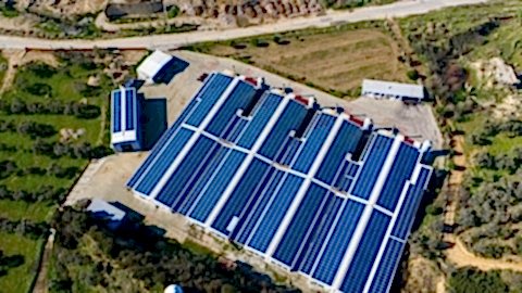 CW ENERJİ GÜNEŞ ENERJİSİ SANTRALİ (GES) AYDIN GERMENCİK 1022 kWp