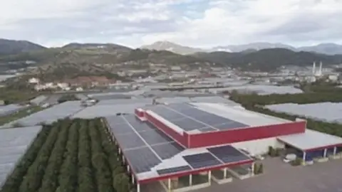 CW ENERJİ GÜNEŞ ENERJİSİ SANTRALİ(GES) ANTALYA KUMLUCA 621,4 kWp
