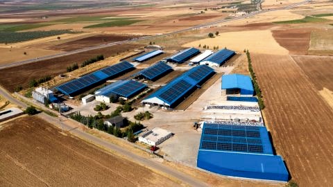 CW ENERJİ GÜNEŞ ENERJİ SANTRALİ (GES) GAZİANTEP NURDAĞI 1984 kWp