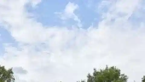 CW Enerji, Yaralı Sokak Hayvanlarının Yuvasını GES’ledi