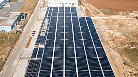 CW Enerji Sürdürülebilir Gelecek İçin Çalışmalarına Devam Ediyor