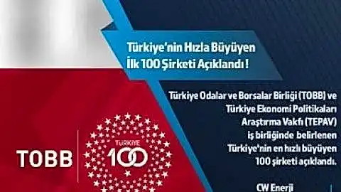 CW Enerji En Hızlı Büyüyen 21’inci Şirket Oldu